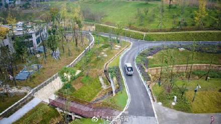 20只滚滚等你来～来四川看熊猫又多个地方！