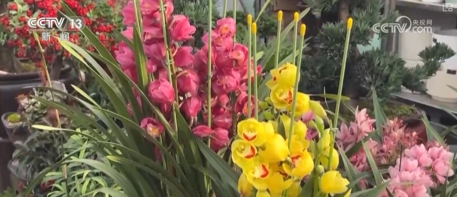 元旦将至消费热潮节节攀升 市场价稳物丰满足消费者多样化、个性化需求