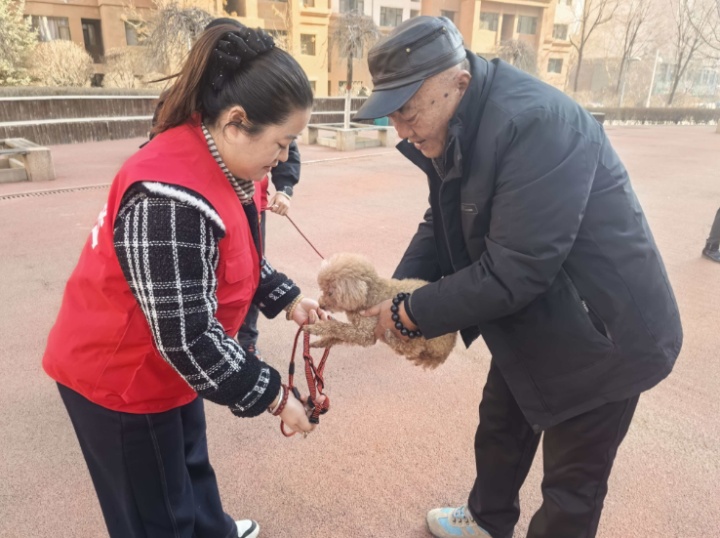 西海调查|@养犬人，你的拴狗绳准备好了吗