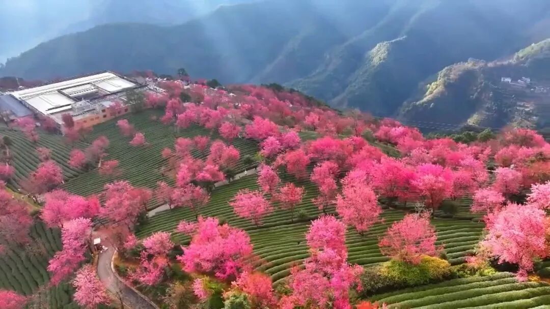 气氛拉满了！元旦不知道去哪儿？好去处上新！