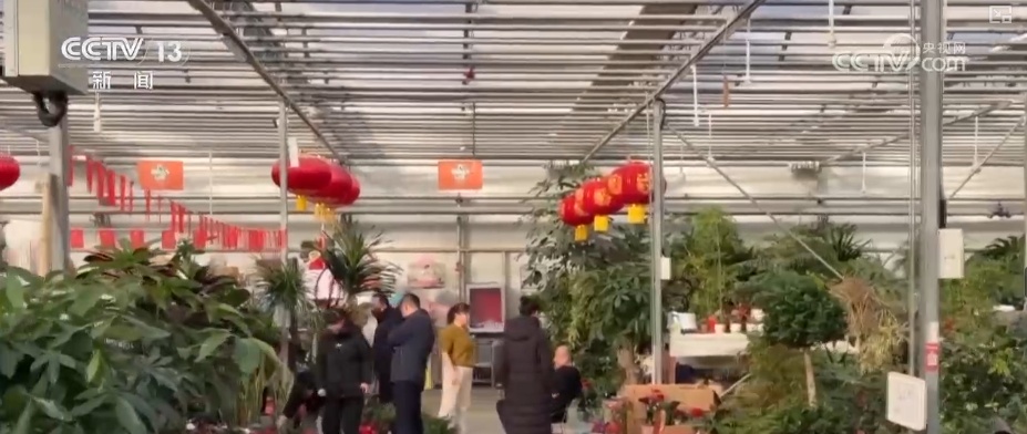 元旦将至消费热潮节节攀升 市场价稳物丰满足消费者多样化、个性化需求