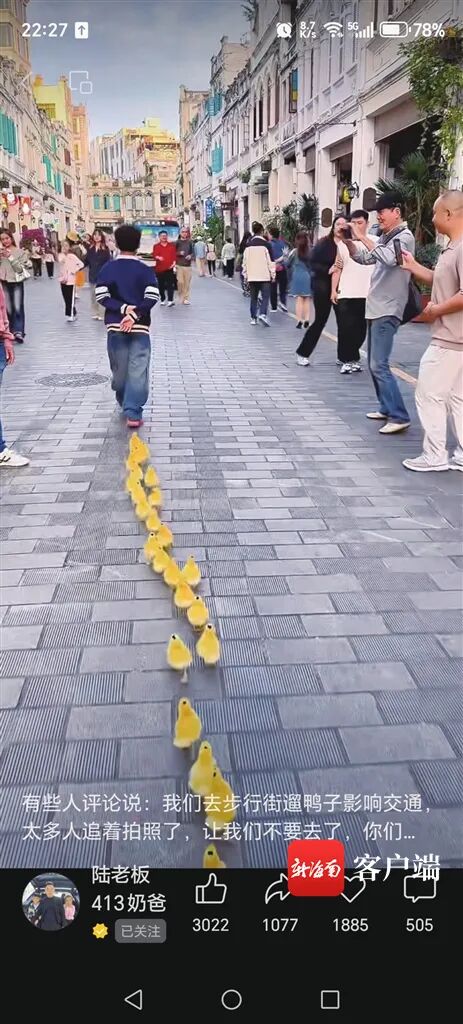 小孩哥街头当“鸭司令”圈粉397万！驯宠心得揭秘→