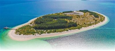 从零星几棵树到植被覆盖率超90%，一座岛礁的绿色蜕变