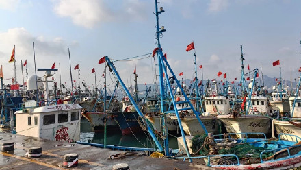 威海石岛：知天而作 渔船回港避风