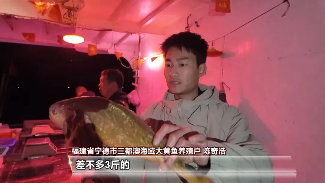 气氛拉满了！元旦不知道去哪儿？好去处上新！