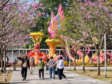广州12月平均气温历史同期第二高