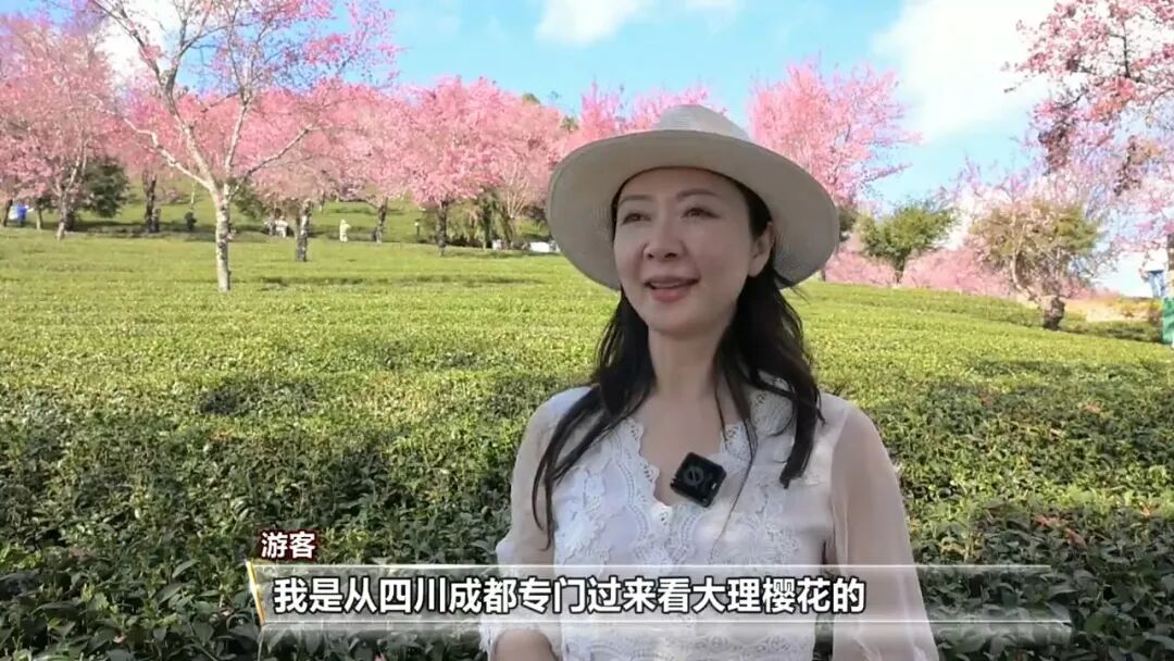 气氛拉满了！元旦不知道去哪儿？好去处上新！