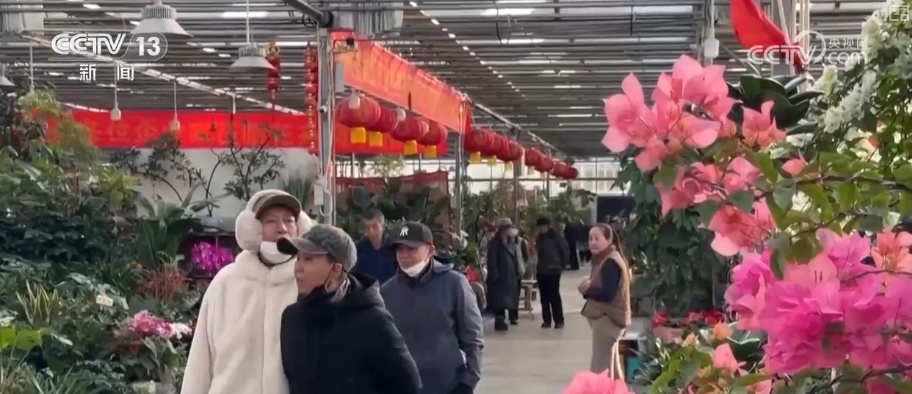 元旦将至消费热潮节节攀升 市场价稳物丰满足消费者多样化、个性化需求