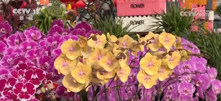 元旦将至消费热潮节节攀升 市场价稳物丰满足消费者多样化、个性化需求