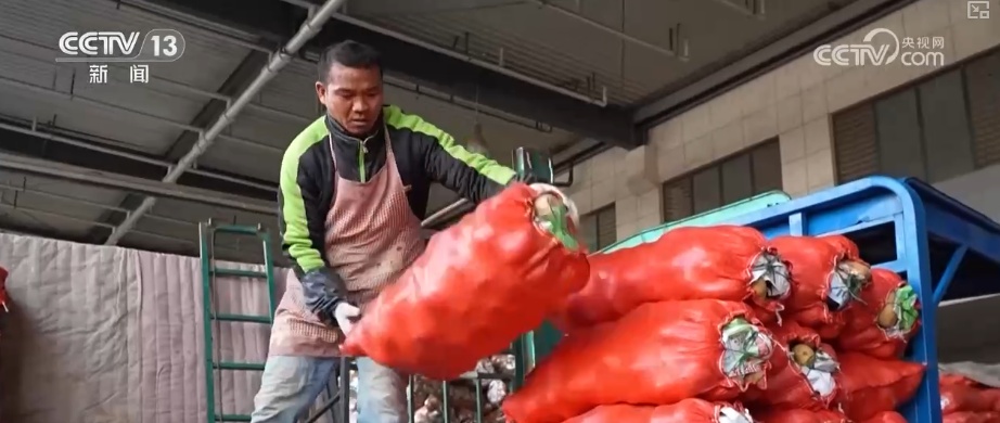 元旦将至消费热潮节节攀升 市场价稳物丰满足消费者多样化、个性化需求