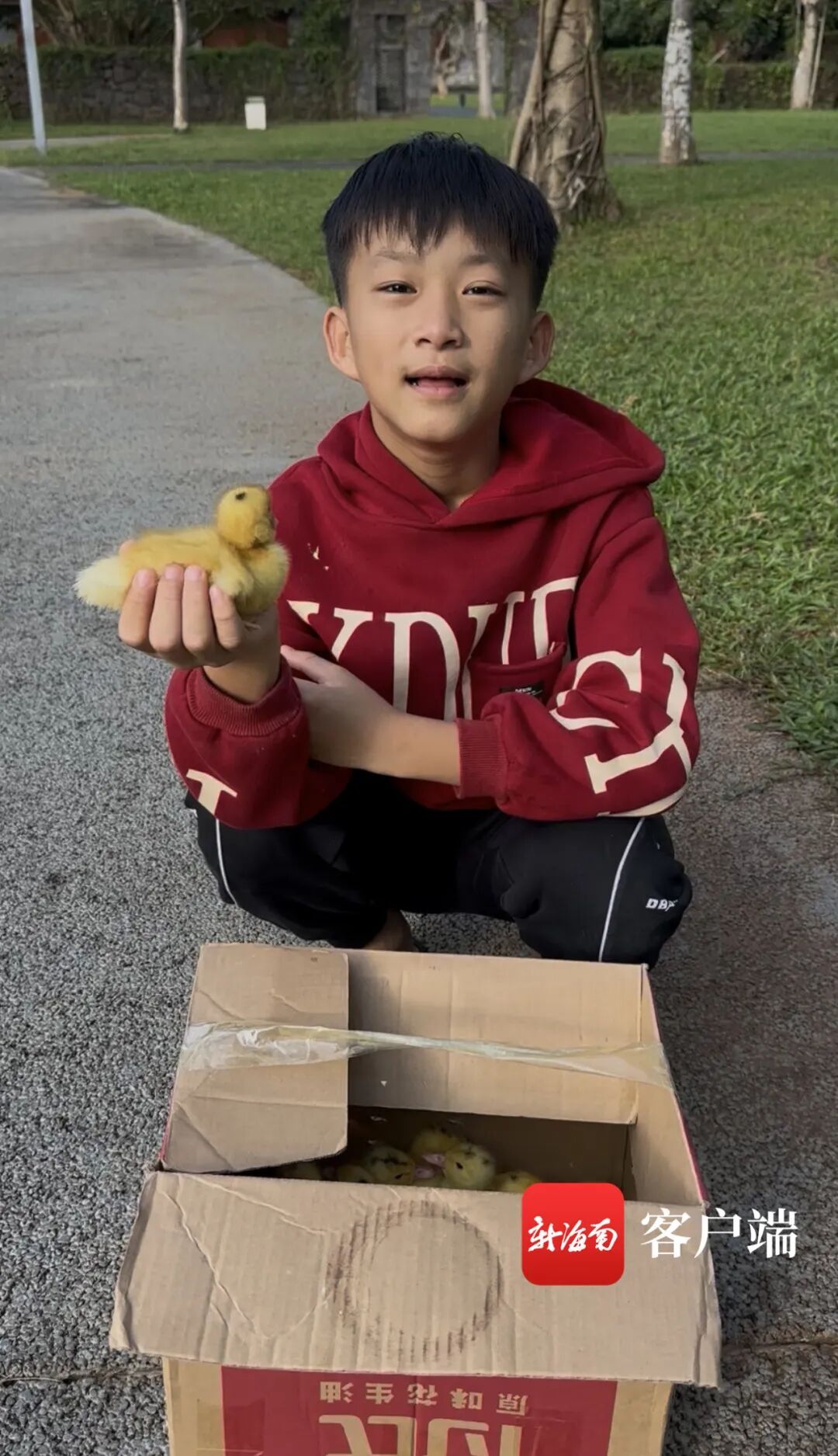 小孩哥街头当“鸭司令”圈粉397万！驯宠心得揭秘→