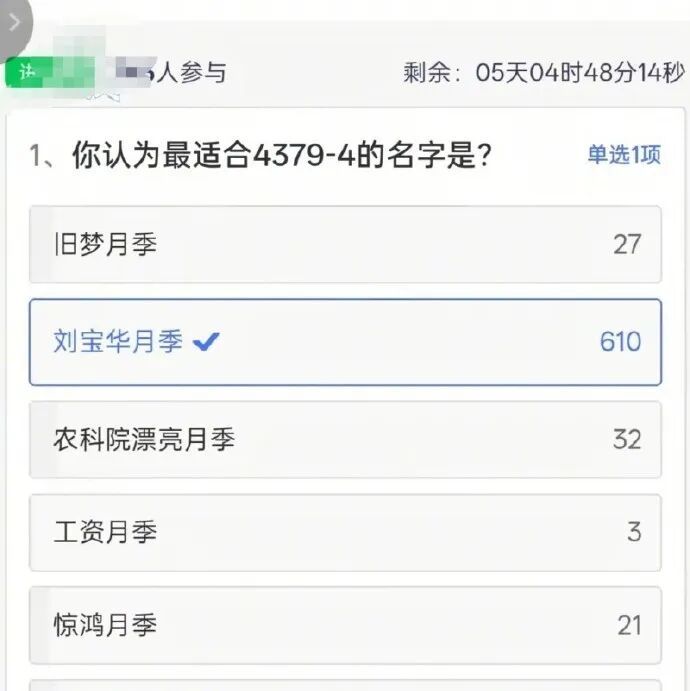 月季新品种：宝华！是网友二舅名字……