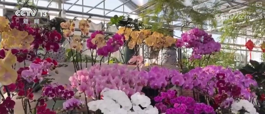 元旦将至消费热潮节节攀升 市场价稳物丰满足消费者多样化、个性化需求