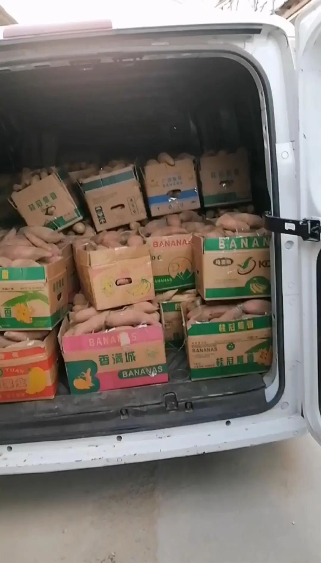 妻子确诊白血病需200万治疗，丈夫落泪求助后，有人匿名捐10万斤红薯