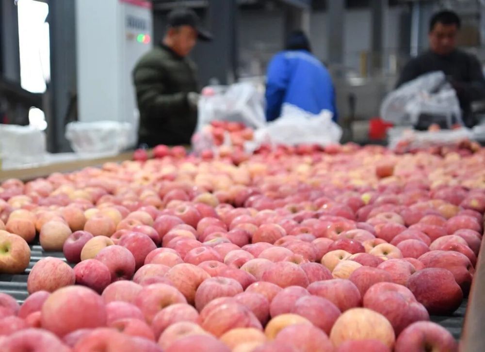 下一站，延安！