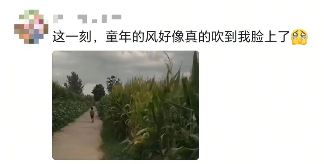 “这个游戏是怎么做到全国统一的？”网友：笑着笑着就哭了