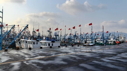 威海石岛：知天而作 渔船回港避风