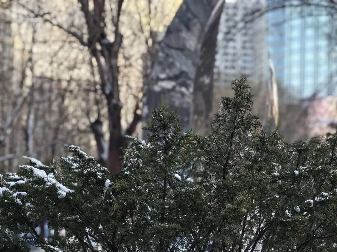 -32.7℃！！！又是辽宁这里！别急，大反转马上来……