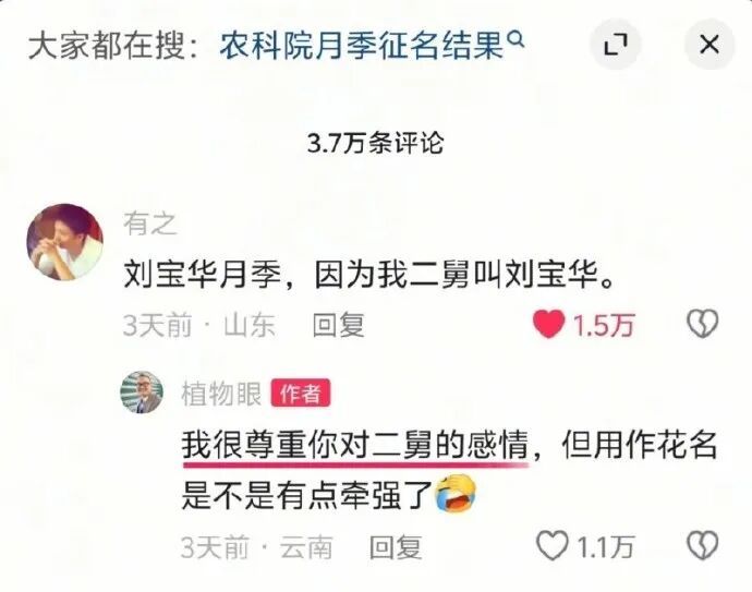 月季新品种：宝华！是网友二舅名字……
