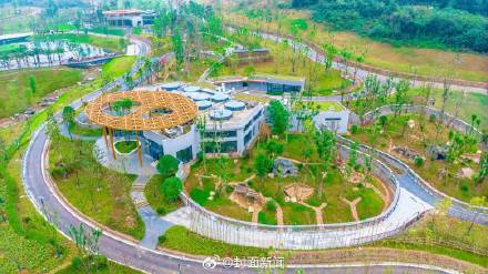 20只滚滚等你来～来四川看熊猫又多个地方！