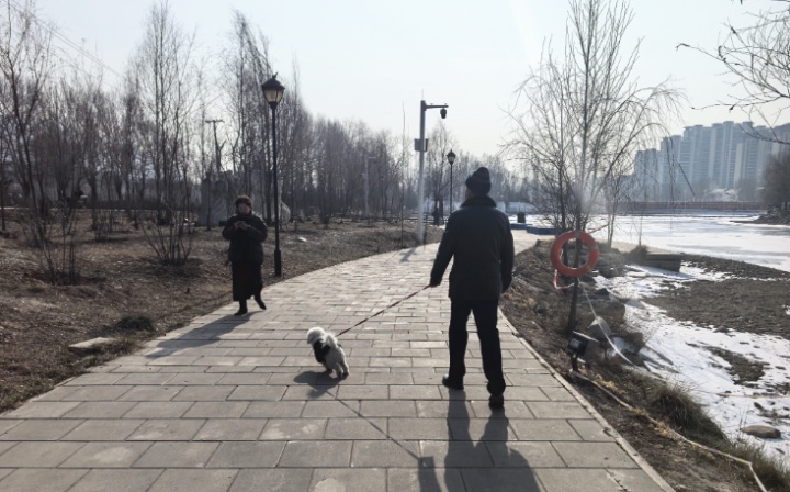 西海调查|@养犬人，你的拴狗绳准备好了吗