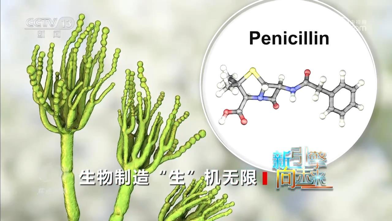 焦点访谈|生物制造,万亿赛道如何跑出“加速度”? 焦点访谈|生物制造,万亿赛道如何跑出“加速度”?