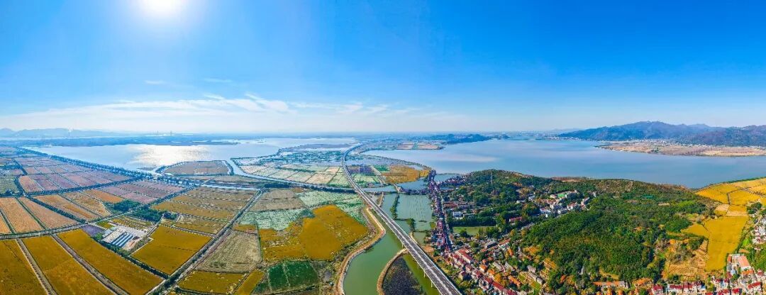 今天，安徽三条高速公路正式通车！