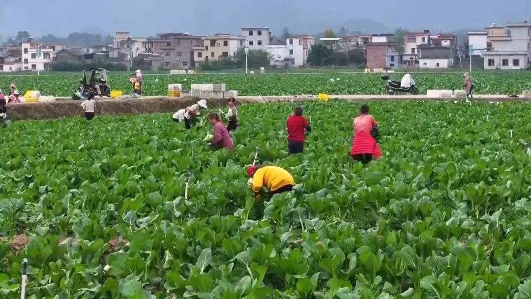 气氛拉满了！元旦不知道去哪儿？好去处上新！