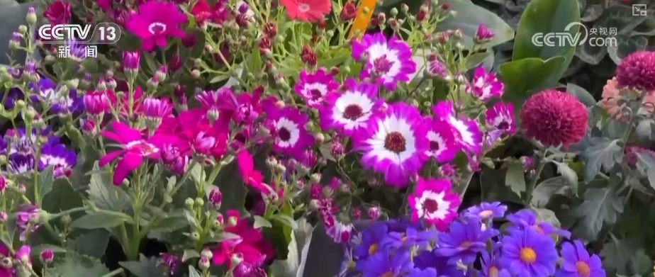 元旦将至消费热潮节节攀升 市场价稳物丰满足消费者多样化、个性化需求