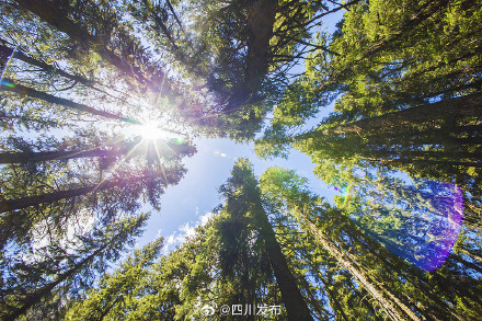 国家级名单公布！四川8地上榜