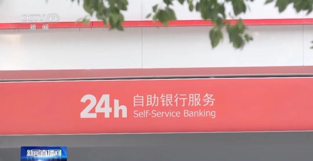 央视曝光！骗贷银行上千万元！特大“职业背债人”贷款诈骗案细节披露