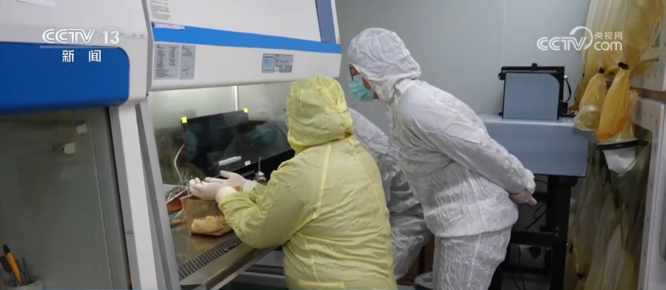 探寻宇宙与生命共生密码 “太空鼠二代”为太空繁衍添希望