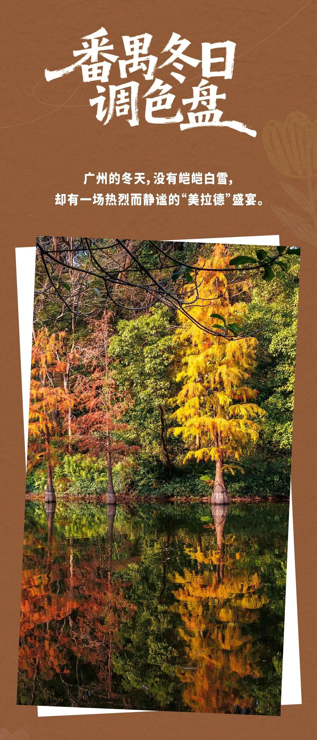 象征性冷一下？今起广东又将升温！广州早晚温差重新变大