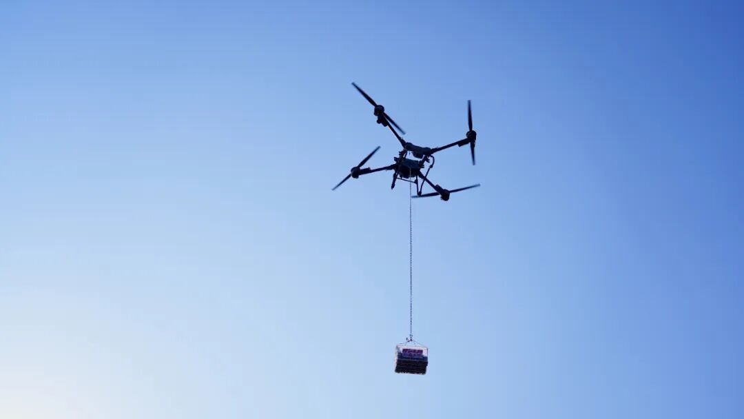 壳薄肉厚，鲜甜紧实，武汉人几乎都爱吃！惊了，这东西冬天也有？