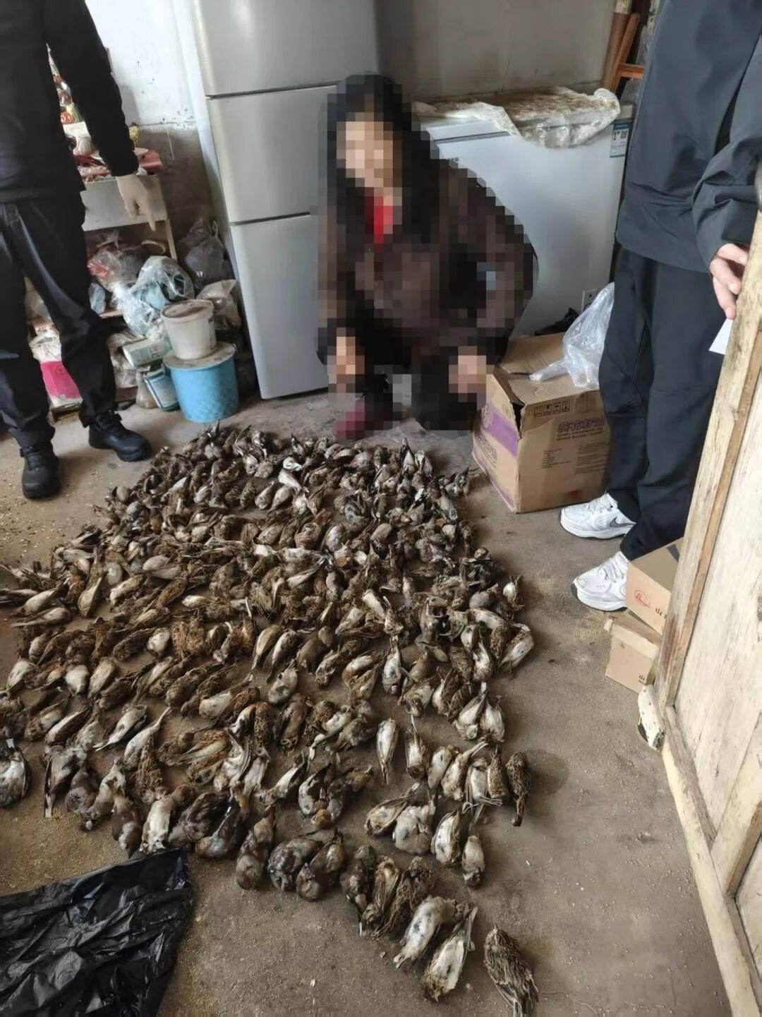 盘锦破获特大案件！