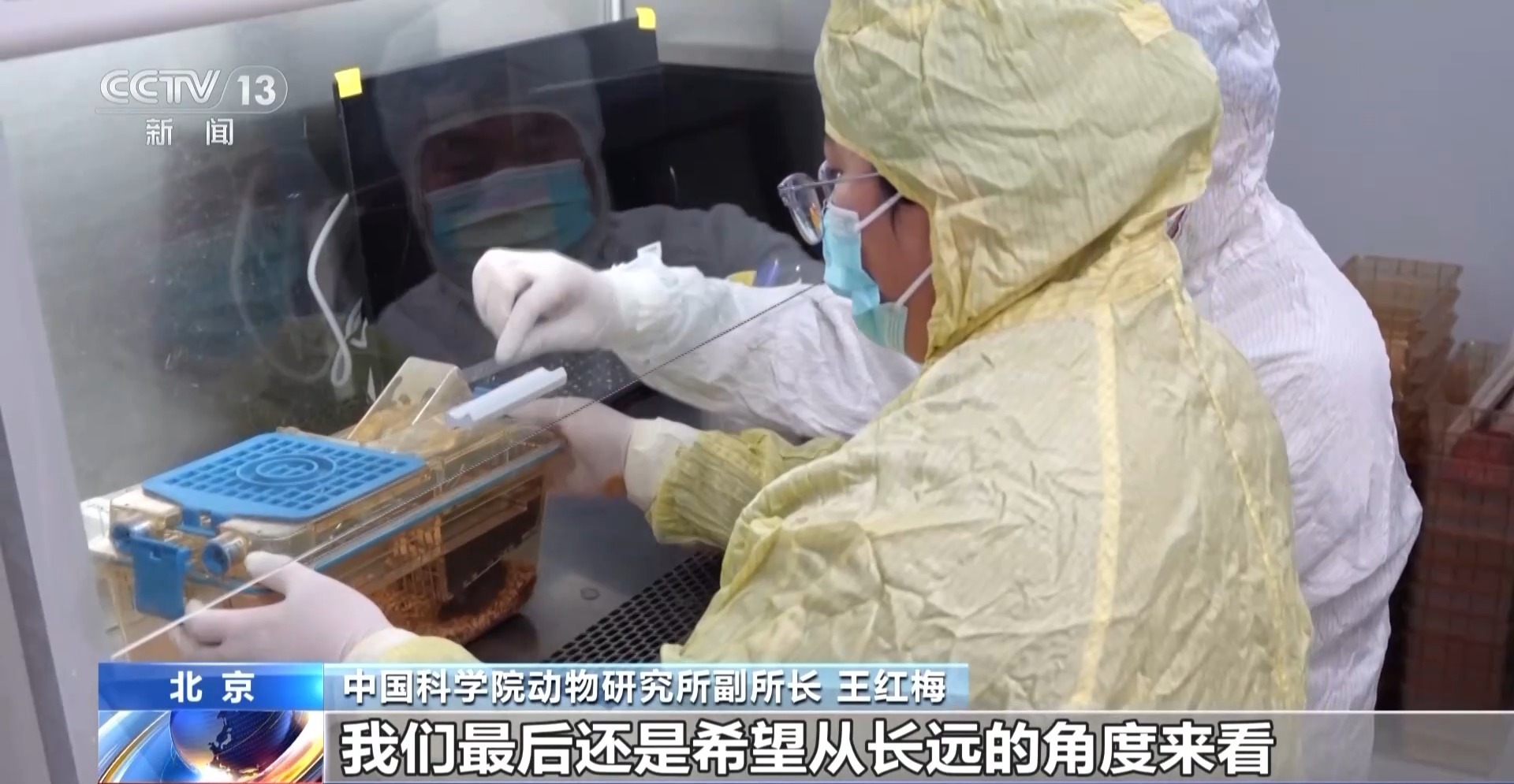 “航天小鼠”和地面小鼠行为有啥差异？总台记者现场探访