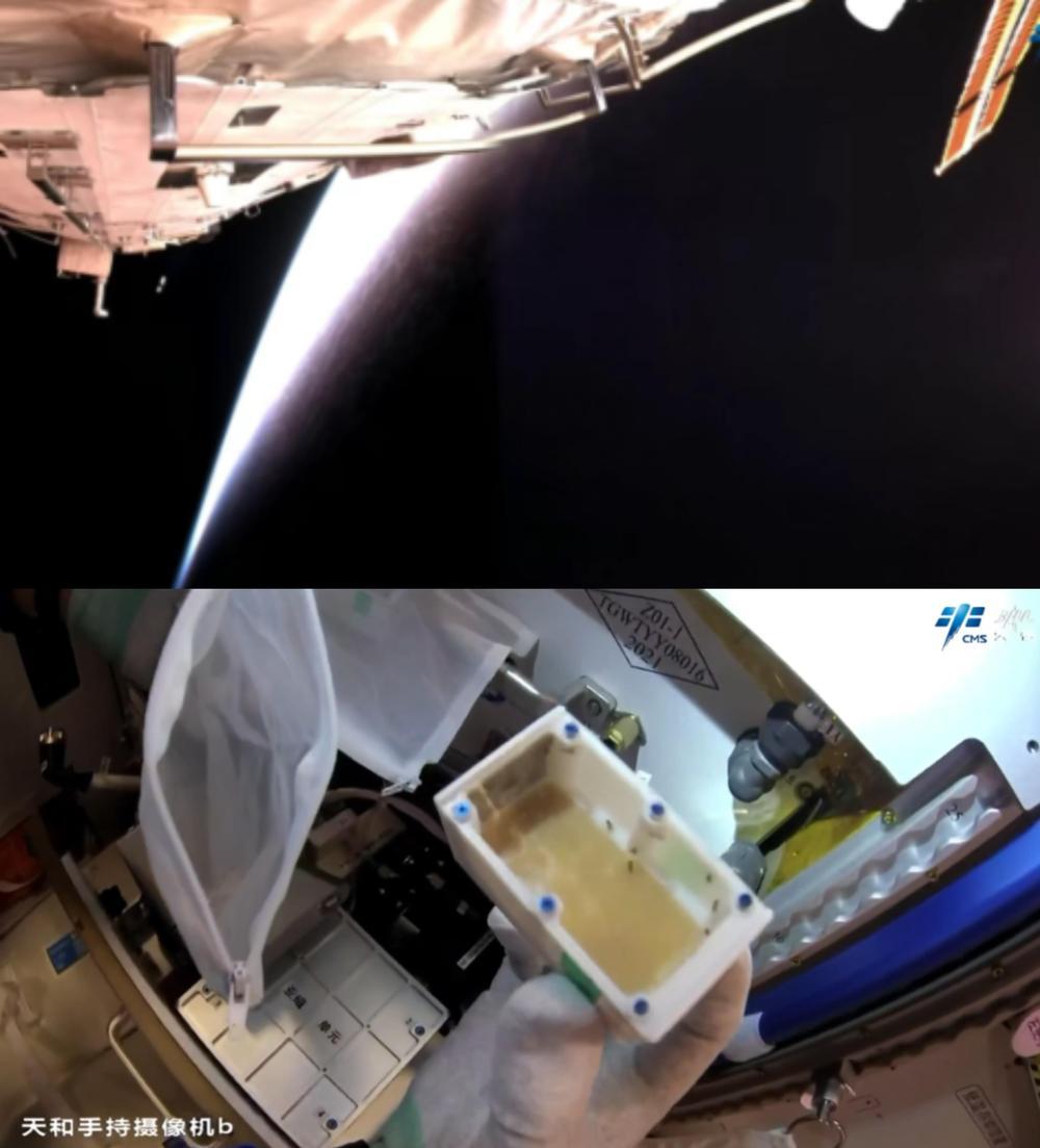 逐梦“天宫”，步履不停！中国载人航天2025精彩回眸