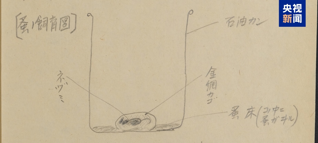 再添罪证！日本731部队月产10公斤跳蚤用于细菌战