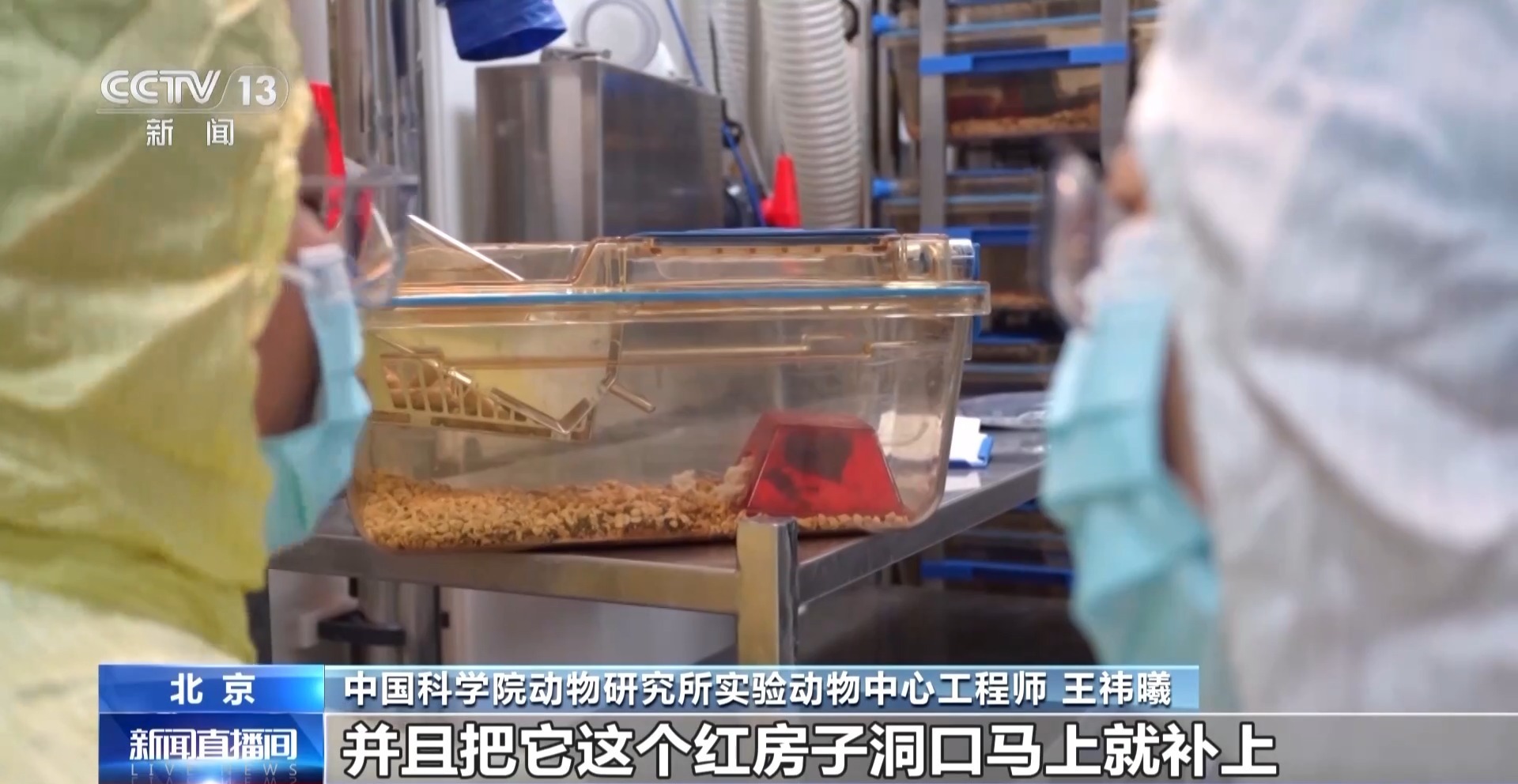 “航天小鼠”和地面小鼠行为有啥差异？总台记者现场探访