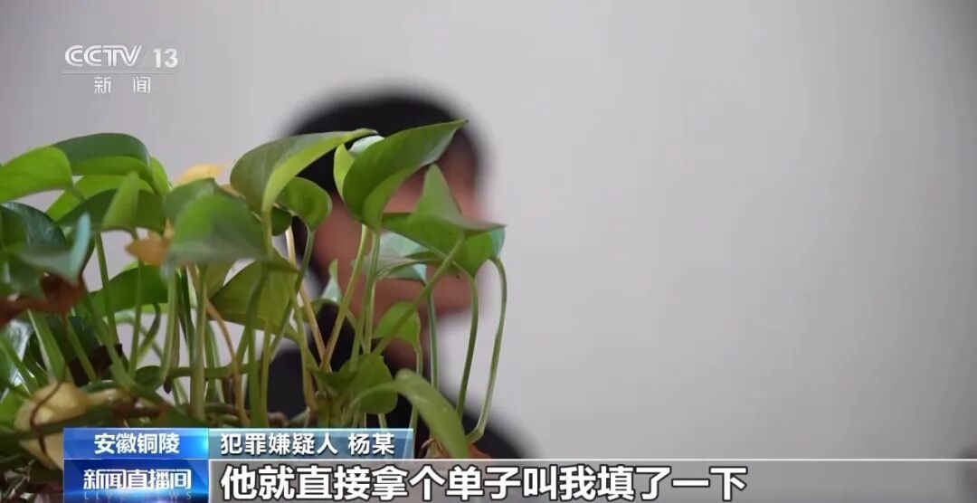 央视曝光！骗贷银行上千万元！特大“职业背债人”贷款诈骗案细节披露