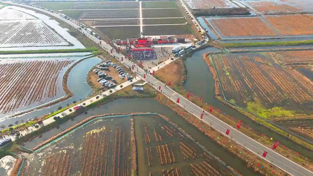 壳薄肉厚，鲜甜紧实，武汉人几乎都爱吃！惊了，这东西冬天也有？