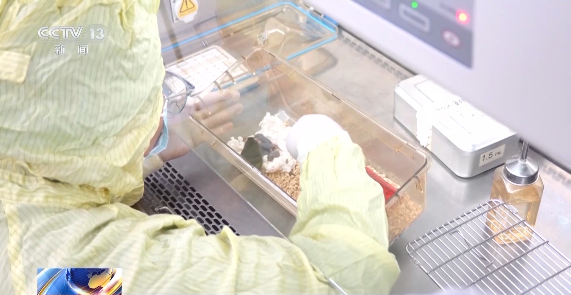 “航天小鼠”和地面小鼠行为有啥差异？总台记者现场探访