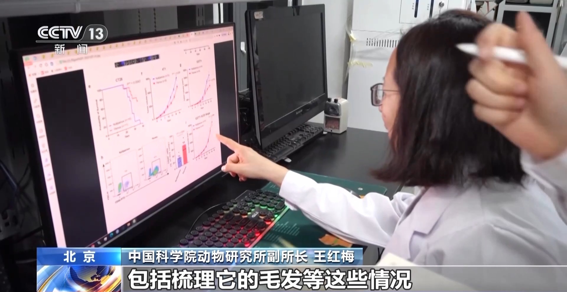 “航天小鼠”和地面小鼠行为有啥差异？总台记者现场探访