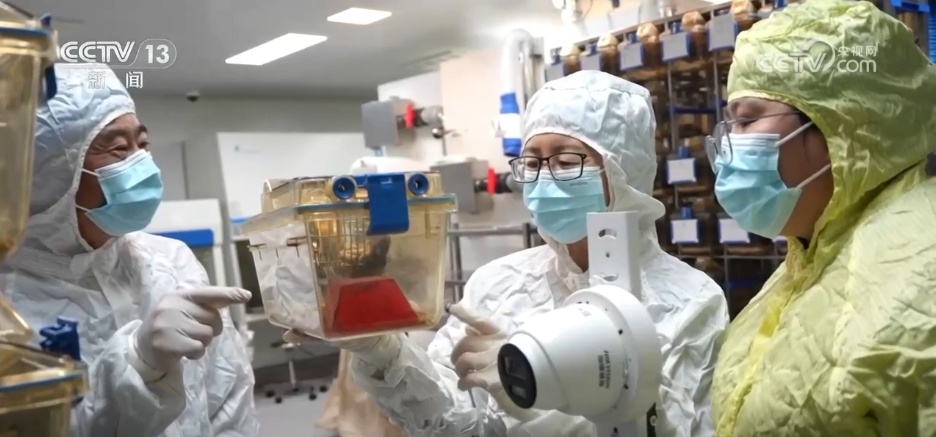 探寻宇宙与生命共生密码 “太空鼠二代”为太空繁衍添希望