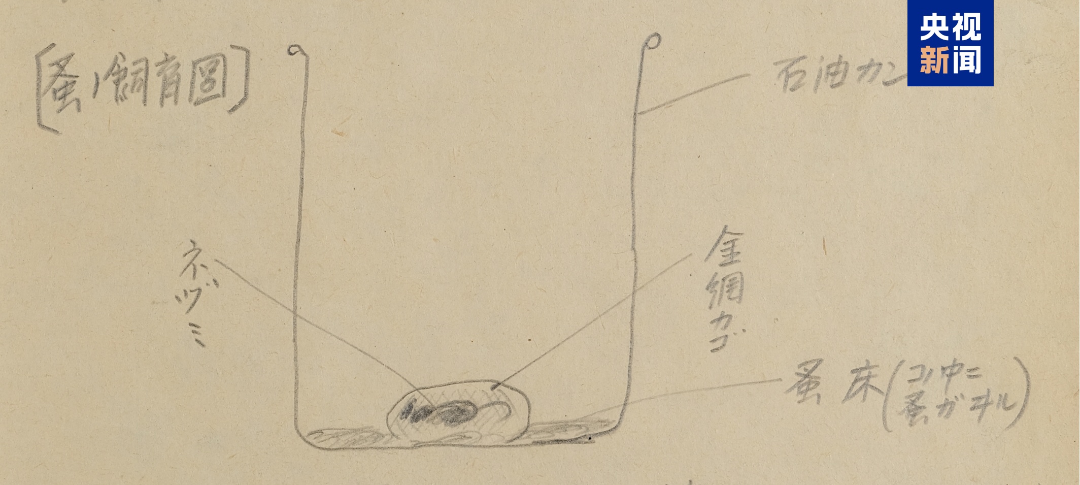 731再添罪证！月产携鼠疫菌跳蚤10公斤 关押中国人开展活体实验