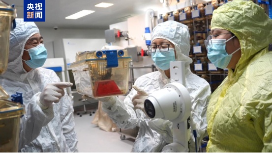 “太空小鼠”，当妈妈了！