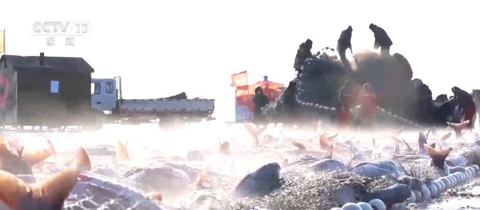 节日消费旺+市场活力足 元旦将至各地消费市场热潮涌动