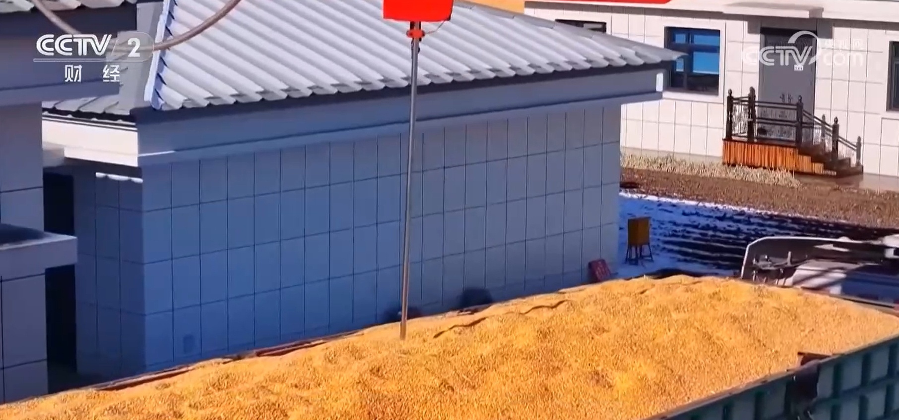 全国秋粮收购已超2亿吨 购销活跃 价格上涨 农民种粮收益显著提高