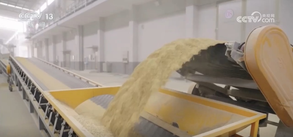 进度快、市场活、价格涨 秋粮收购进入旺季 数据推动粮食工作高效有序