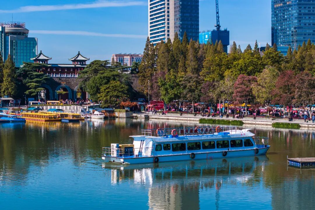 不是鸭子！玄武湖上密密麻麻的都是啥？